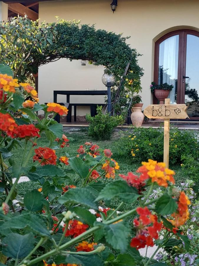 B&B Ottoulivi Sardara Exterior foto